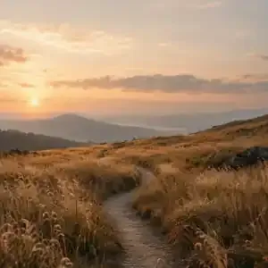 A quiet path through a golden landscape, representing change and life transitions